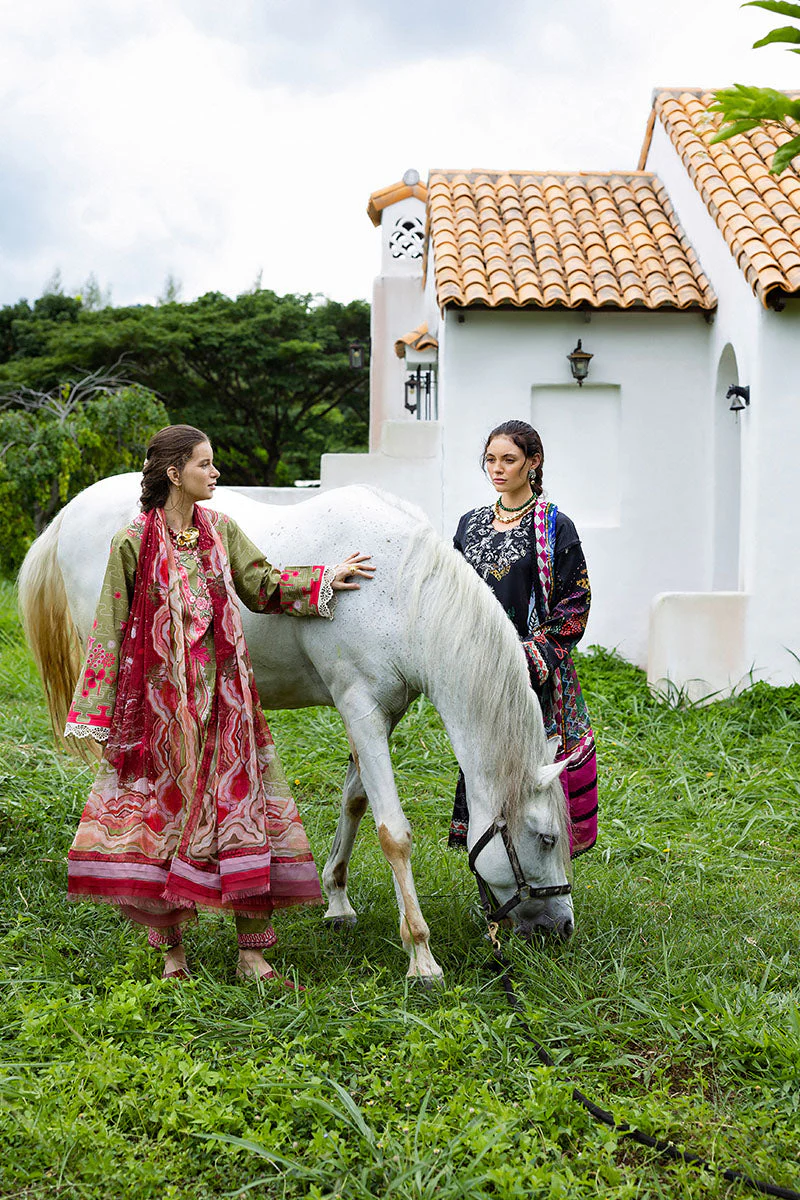 Cielo Sol - Image 4