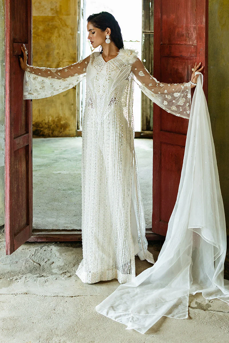 Lotus - Image 5